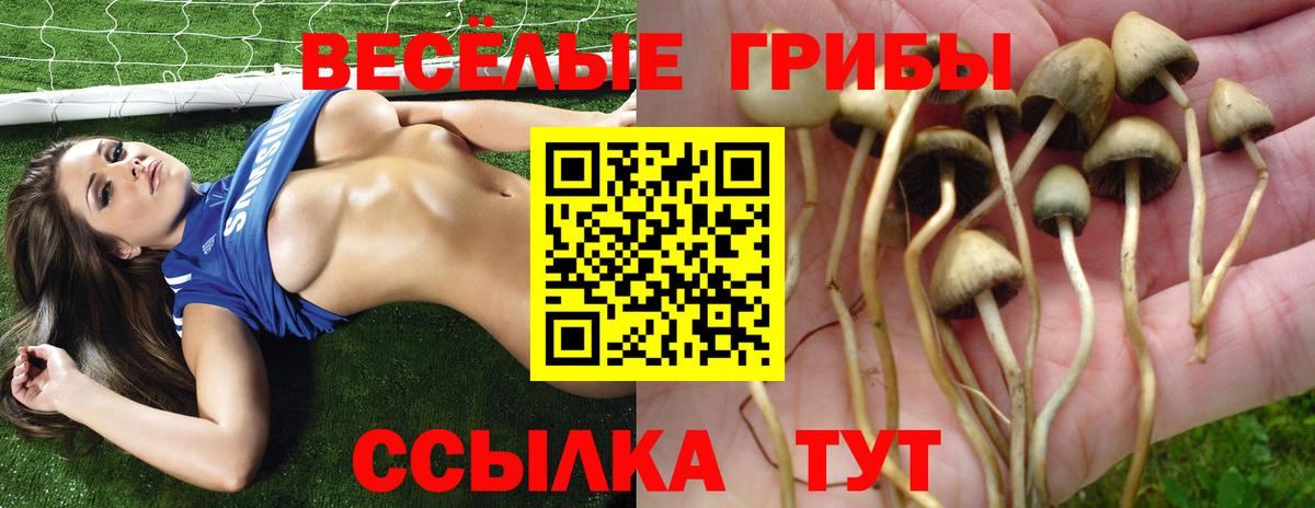 дарнет шоп  Галлюциногенные грибы Cubensis  Вход с VPN  Углич  Галлюциногенные грибы GOLDEN TEACHER 